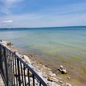Paradise Point Cottage